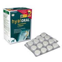 Hyaloral grote & zeer grote rassen - 120 tabletten