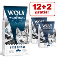 2x12kg Deep Seas met Haring Wolf of Wilderness Hondenvoer