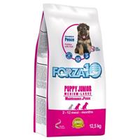 12,5kg Puppy Junior met Vis Forza10 Maintenance Dog Hondenvoer