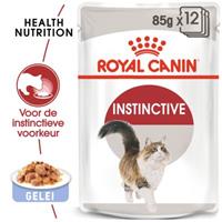 Royal Canin Feline P.B. Health Nutr. Instinctive Jellly 85g