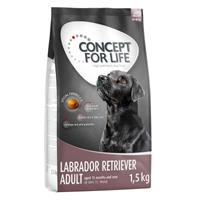 Concept for Life 6 kg  Labrador Retriever Adult Hondenvoer