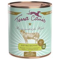 Terra Canis Graanvrij Voordeelpakket 12 x 800 g - Kalkoen met selderij, pompoen en waterkers