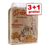 Greenwoods Small Animals Greenwoods Weilandhooi - Paardenbloem 1 kg