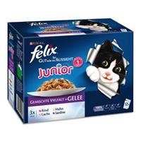 Felix 12x100g Elke Dag Feest Junior Mix in Gelei Mix selectie  Kattenvoer