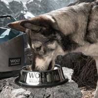 Wolf of Wilderness 850 ml  Rutschfester Edelstahlnapf Ø 23 cm Hund
