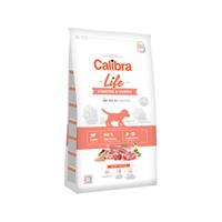 Calibra Dog Life Starter & Puppy - Lam - 12 kg