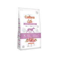 Calibra Dog Life Junior Large Breed - Lamm - 2,5 kg