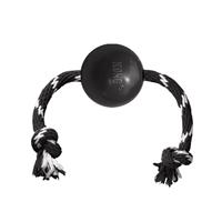 Kong Extreme Ball mit Tau