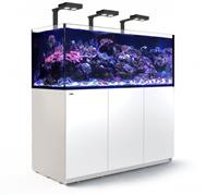 Red Sea REEFER Deluxe XXL 625 Complete Meerwasser-Aquarium mit Unterschrank