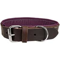 Schecker hondenhalsband "Moorfeuer", Kleur: bruin/violet