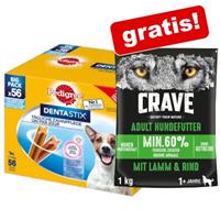 Pedigree 112 stuks  Dentastix + 1 kg Crave droogvoer gratis!  - Dagelijkse tandverzorging voor kleine honden (5-10 kg)