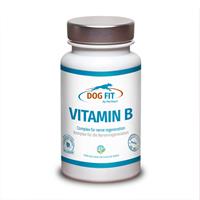 dogfitbyprethis DOG FIT Vitamin-B Komplex für Hunde | Unterstützung für das Nervensystem | Inkontinenz | Spondylose | Ängstlichkeit | 60 Kapseln by PreThis