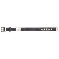 HUNTER Hunde-Halsband New Orleans schwarz, Breite: ca. 38 mm, Halsweite: ca. 50 - 60 cm