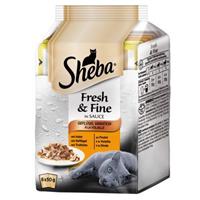 Sheba Fresh & Fine in Sauce mit Rind und Huhn 6x 50G