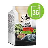 Sheba Fresh Cuisine Taste of Rome Kattenvoer 36 x 50 g - Kip & Kalkoen