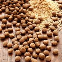 alsa-nature INSECTUM Reis Trockenfutter, 3 kg, Hundefutter trocken