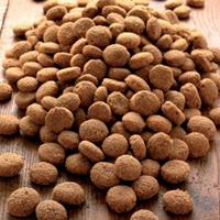 alsa-nature Aktiv Spezial Protein Trockenfutter, 6 kg, Hundefutter trocken