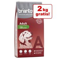 Briantos Adult Kip & Rijst  is 14 kg