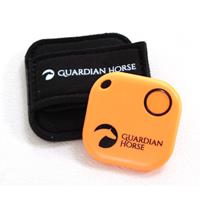 Guardian Horse Unfall Tracker > orange