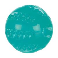 TRIXIE DentaFun Mintfresh Ball thermoplastisches Gummi (TPR) ø 6 cm
