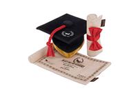 p.l.a.y. Hondenspeelgoed Graduation Cap & Diploma Toy