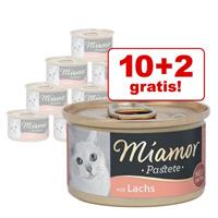 12x85g Forel Pastei Miamor Kattenvoer