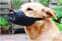 Beeztees veiligheidsmuilband - hond - l-large - 19,5 cm