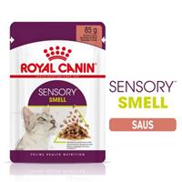 Royal Canin Sensory Smell in Saus Kattenvoer - 12 x 85 g
