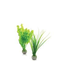 BiOrb plantenset groen - klein