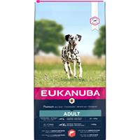 Eukanuba Adult Large met zalm & gerst hondenvoer 2 x 12 kg