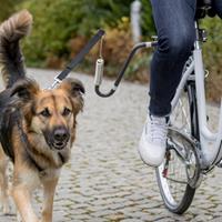 TRIXIE Biker-Set für Fahrrad und Hund, U-Form, Größe M-XL, graphitgrau für Hunde