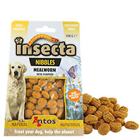 Insecta Nibbles Mealworm (Mehlwurm & Kürbis)