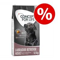 Concept for Life 12kg Large Sensitive  Hondenvoer droog