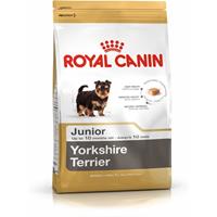 Royal Canin 35117 Breed Yorkshire Terrier Junior/Puppy 500 G - Hundefutter, Verpackung Kann Variieren