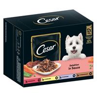 Cesar 12x 100g  Selektion Fleisch und Gemüse in Sauce Hundefutter nass