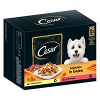 12x 100g Cesar Selektion Fleisch und Gemüse in Gelee Hundefutter nass