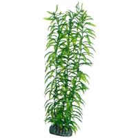 Hobby Plant Heteranthera 34CM
