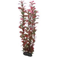 Hobby Plant Ludwigia 34CM