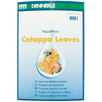 Dennerle Catappa Leaves 10 Stuks - Voor 800 L