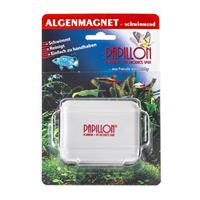 Papillon Algenmagnet schwimmend