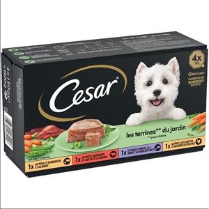 Cesar Classic Hondenvoer Gemengd pakket - 4 x 150 g