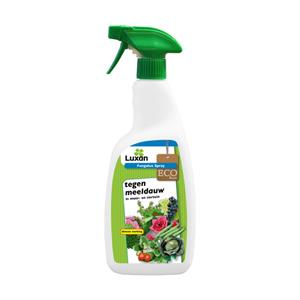 Luxan Fungalux Spray Tegen Meeldauw - Schimmelbestrijding - 750 ml