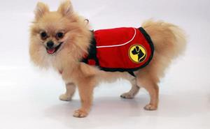 Dog Armor Knockdown Coat XS