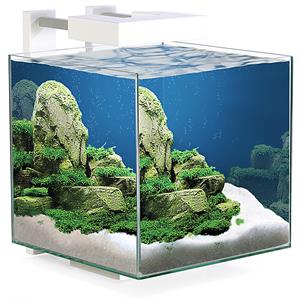 Ciano Aquarium nexus pure 15 led