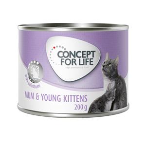 Concept for Life Mum & Young Kittens Mousse Kattenvoer - 6 x 200 g
