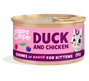 Edgard&Cooper Kitten Chuncks 85 g - Kattenvoer - Eend&Kip