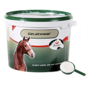 PrimeVal Gelatinaat paard - 2 kg