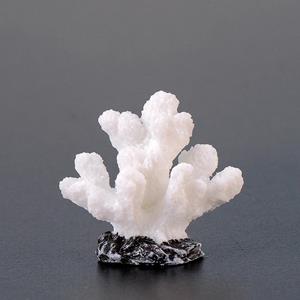 huismerk 10 stks Simulatiehars Coral Aquarium Aquarium Kleine Ornamenten Kleur: No. 8 White