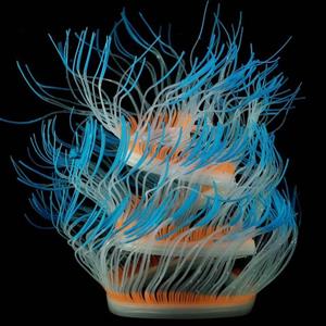 huismerk Aquarium Fish Tank Landscaping Decoratie Silicagel Simulatie Software Coral Fluorescerende Anemoon Grootte: 75cm