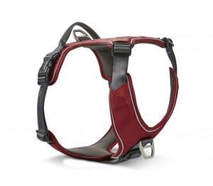 Wolters Active Pro Comfort rot Hundegeschirr